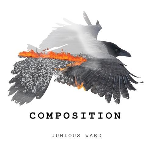 Cover image for Composition