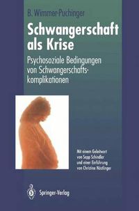 Cover image for Schwangerschaft als Krise