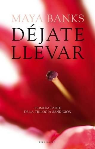 Cover image for Dejate Llevar