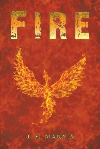 Cover image for Fire