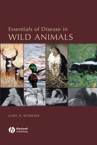 Cover image for Essentials of Disease in Wild Animals