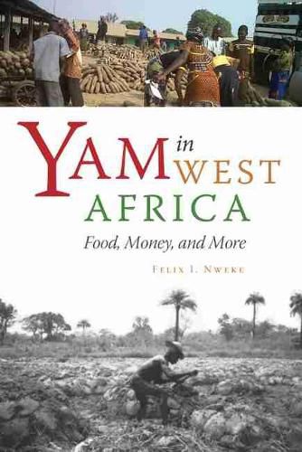 Cover image for Yam in West Africa: Food, Money, and More