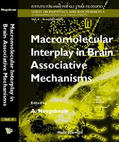 Cover image for Macromolecular Interplay In Brain Associative Mechanisms