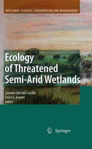 Cover image for Ecology of Threatened Semi-Arid Wetlands: Long-Term Research in Las Tablas de Daimiel