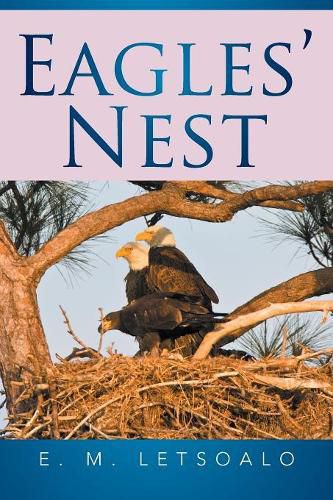 Cover image for Eagles' Nest