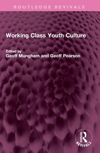 Cover image for Working Class Youth Culture