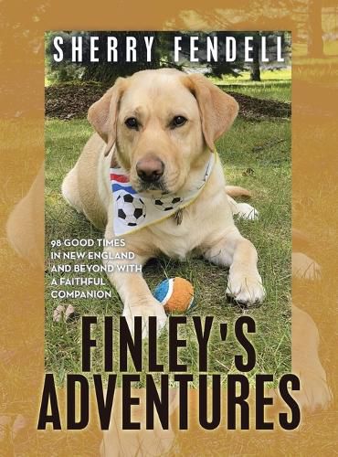 Cover image for Finley's Adventures