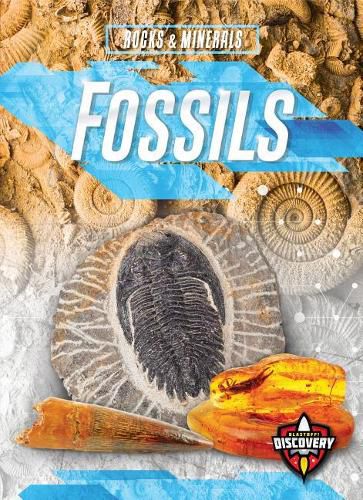 Cover image for Fossils