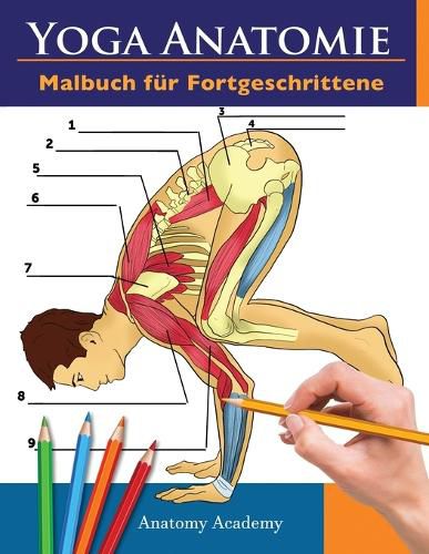 Cover image for Yoga Anatomie Malbuch fur Fortgeschrittene: 50+ Unglaublich Detailliertes Arbeitsbuch zum Selbsttest von Yoga Posen fur Fortgeschrittene Das Perfekte Geschenk fur Yogalehrer, -lehrner und -begeisterte