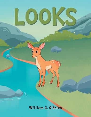 Cover image for Looks