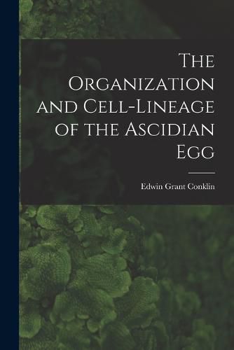 Cover image for The Organization and Cell-lineage of the Ascidian Egg