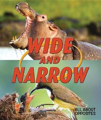 Cover image for Wide and Narrow