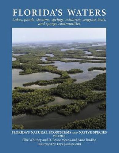 Cover image for Florida's Waters