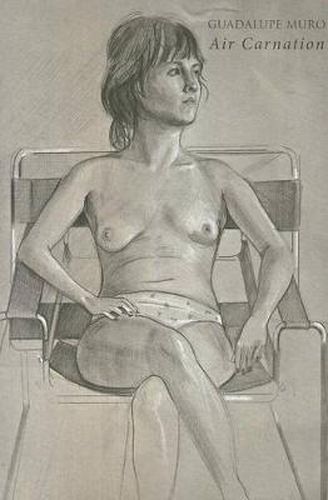 Cover image for Air Carnation