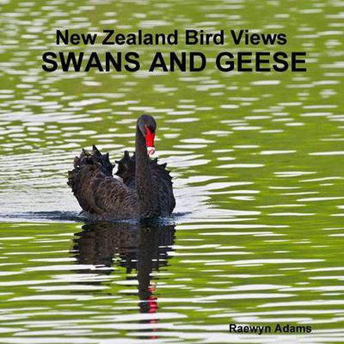 Cover image for New Zealand bird views: swans and geese