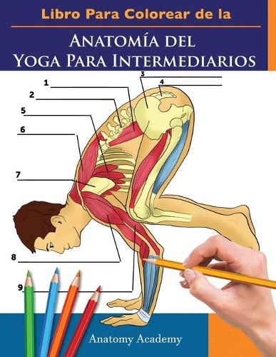 Cover image for Libro Para Colorear de la Anatomia del Yoga Para Intermediarios: 50+ Ejercicios de Colores con Posturas de Yoga Para Intermediarios El Regalo Perfecto Para Instructores de Yoga, Maestros y Aficionados