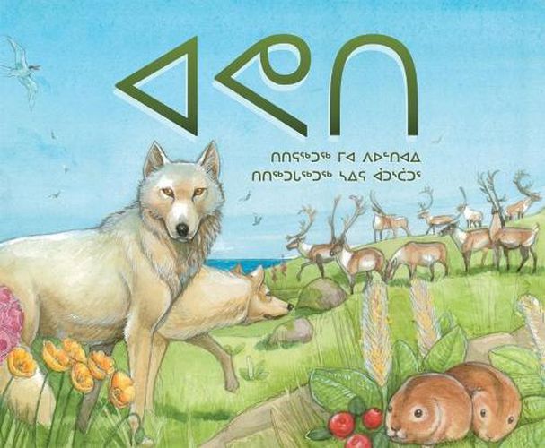 Cover image for Avati: Discovering Arctic Ecology (Inuktitut)