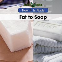 Cover image for Fat to Soap