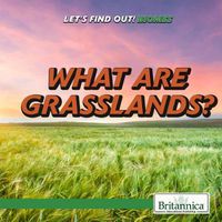 Cover image for What Are Grasslands?