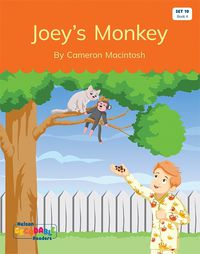 Cover image for Joey's Monkey (Set 10, Book 4)