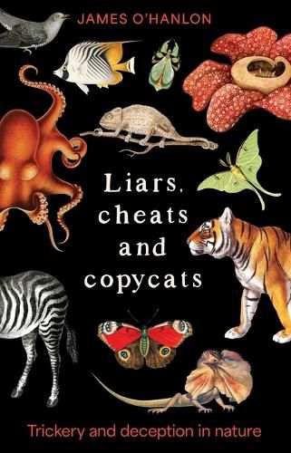Cover image for Liars, cheats and copycats