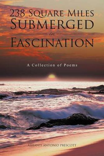 Cover image for 238 Square Miles Submerged in Fascination: A Collection of Poems