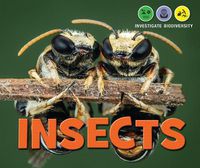 Cover image for Insects