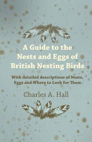 Cover image for A Guide to the Nests and Eggs of British Nesting Birds - With Detailed Descriptions of Nests, Eggs, and Where to Look for Them