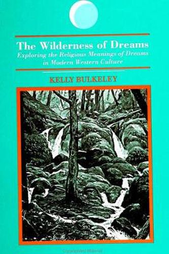 Cover image for The Wilderness of Dreams: Exploring the Religious Meanings of Dreams in Modern Western Culture
