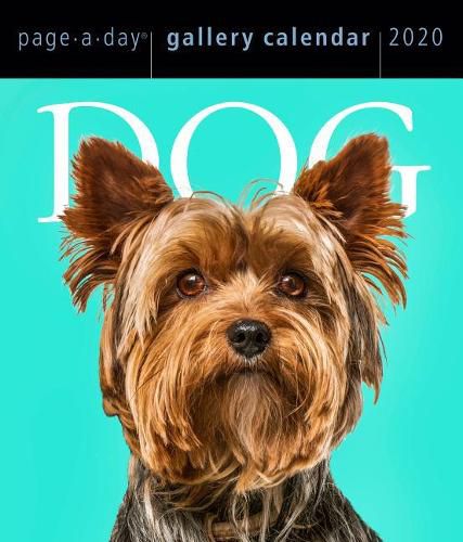 Dog: Page-a-Day Gallery Calendar 2020