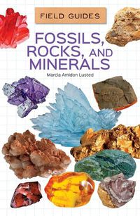 Cover image for Fossils, Rocks, and Minerals