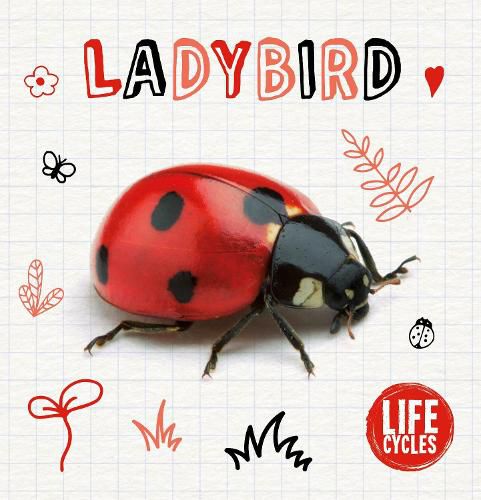 Cover image for Ladybird