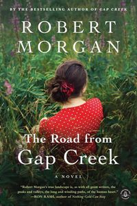 Cover image for The Road From Gap Creek: A Novel