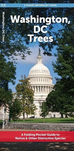Cover image for Washington DC Trees: A Folding Pocket Guide to Familiar Plants