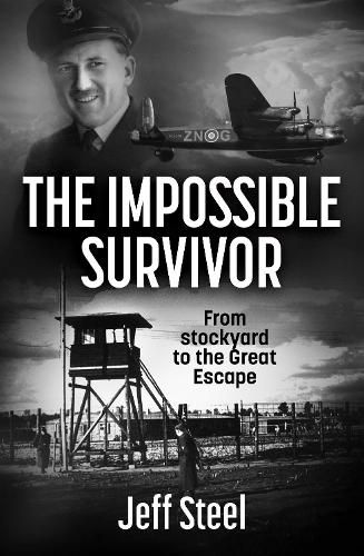 Cover image for The Impossible Survivor