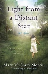 Cover image for Light from a Distant Star: A Novel