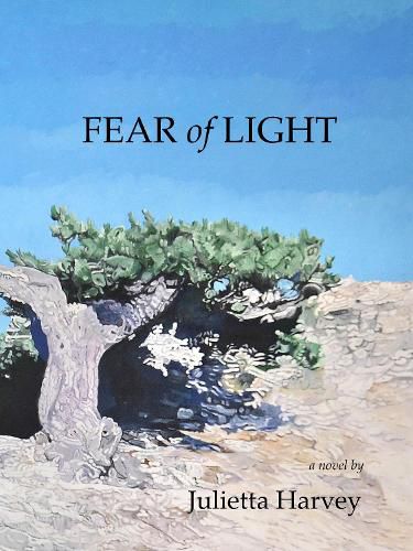 Cover image for Fear of Light