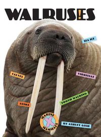 Cover image for Walruses