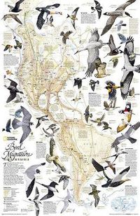 Cover image for Bird Migration, Western Hemisphere, Laminated: Wall Maps History & Nature