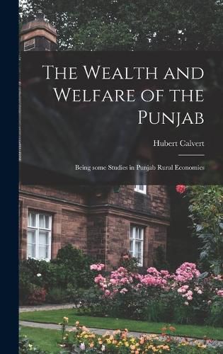 Cover image for The Wealth and Welfare of the Punjab: Being Some Studies in Punjab Rural Economics