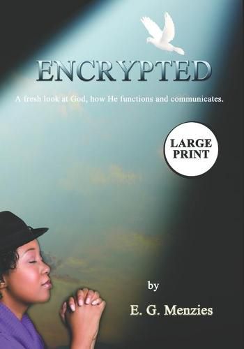 Cover image for Encrypted: A fresh look at God, how He functions and communicates.