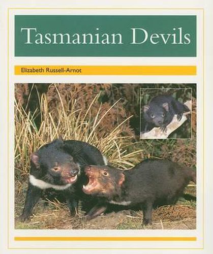 Cover image for Tasmanian Devils: Individual Student Edition Gold (Levels 21-22)