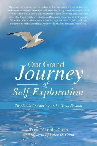 Cover image for Our Grand Journey of Self-Exploration: Two Souls Journeying to the Great Beyond
