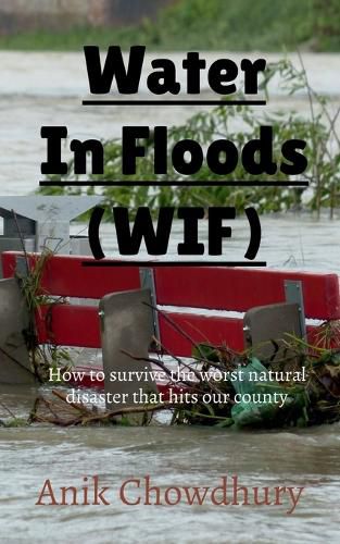 Cover image for Clean water in floods (WIF)