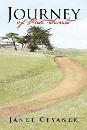 Cover image for Journey of Past Secrets