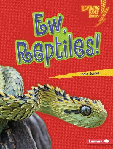 Cover image for Ew, Reptiles!