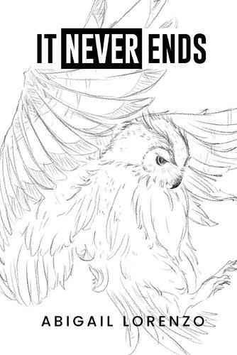 Cover image for It Never Ends