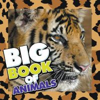 Cover image for Big Book of Animals