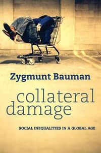 Cover image for Collateral Damage: Social Inequalities in a Global Age