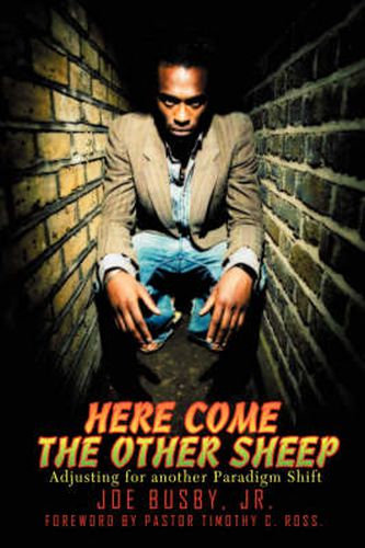 Cover image for Here Come the Other Sheep: Adjusting for Another Paradigm Shift